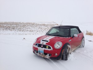 Playing in the Snow